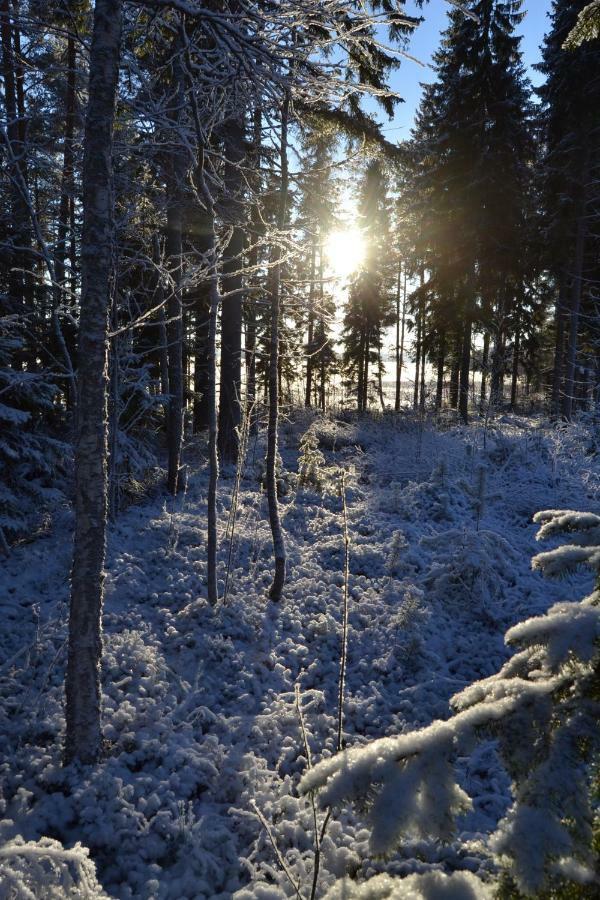 Kujanpaeae | Paajoen Vuokramoekit Hotel Himos Екстериор снимка