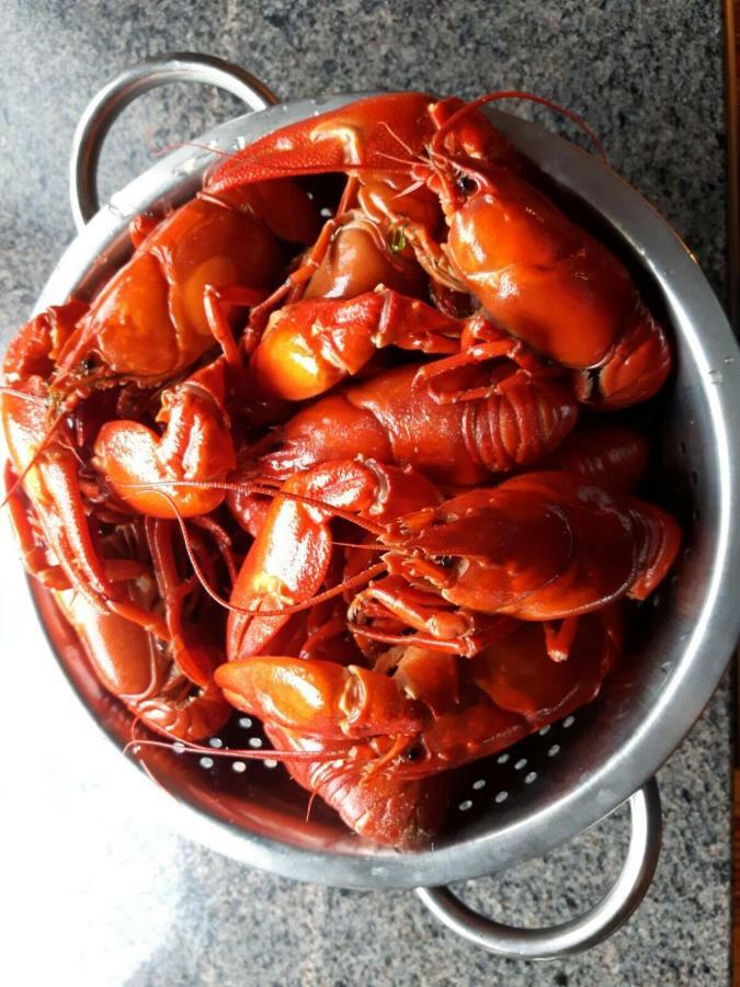Kujanpaeae | Paajoen Vuokramoekit Hotel Himos Екстериор снимка